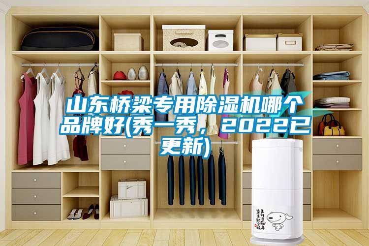 山東橋梁專用除濕機哪個品牌好(秀一秀，2022已更新)
