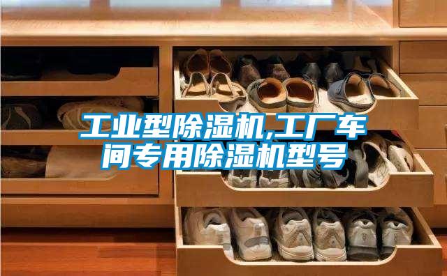 工業(yè)型除濕機(jī),工廠(chǎng)車(chē)間專(zhuān)用除濕機(jī)型號(hào)