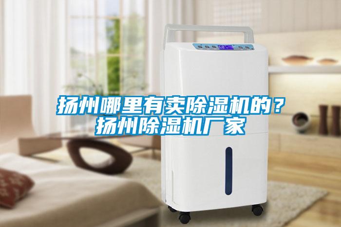 揚(yáng)州哪里有賣除濕機(jī)的？揚(yáng)州除濕機(jī)廠家