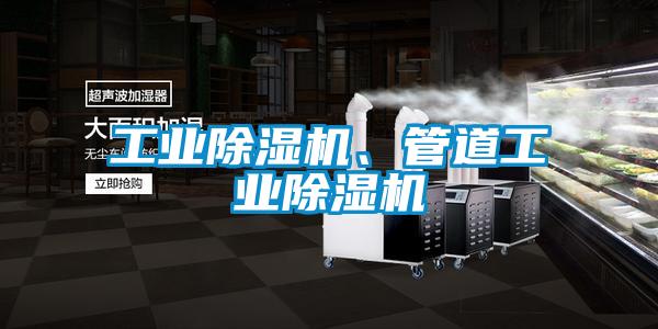工業(yè)除濕機(jī)、管道工業(yè)除濕機(jī)