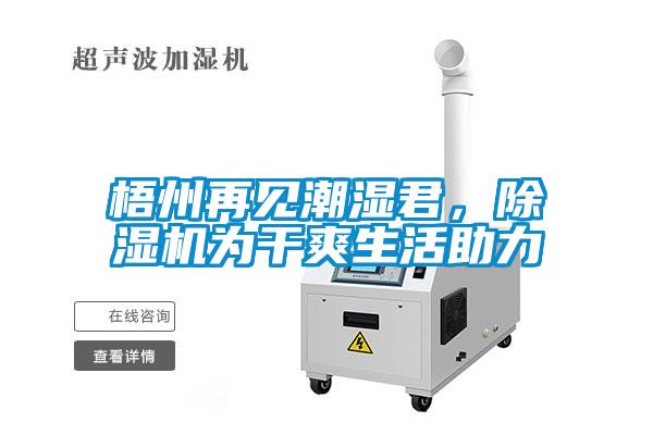 梧州再見潮濕君，除濕機為干爽生活助力