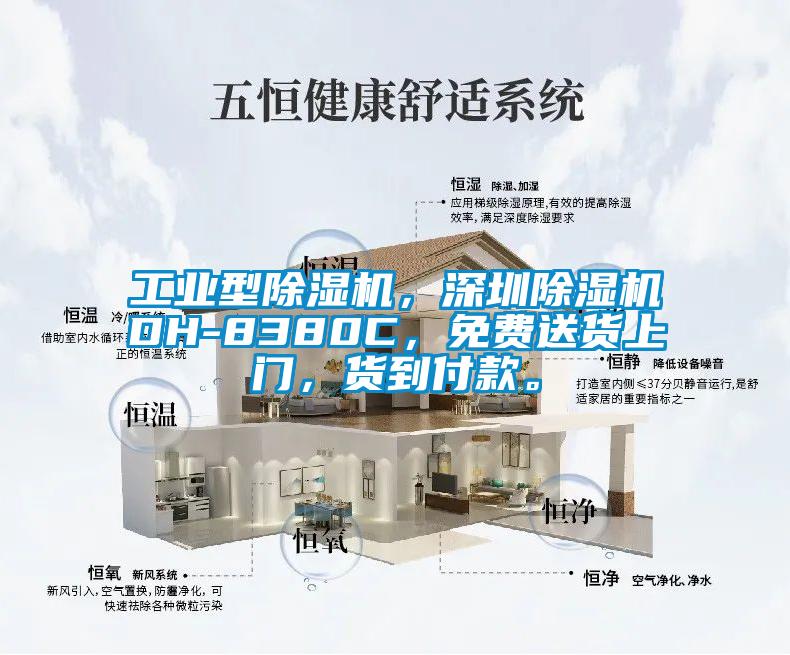 工業(yè)型除濕機，深圳除濕機DH-8380C，免費送貨上門，貨到付款。