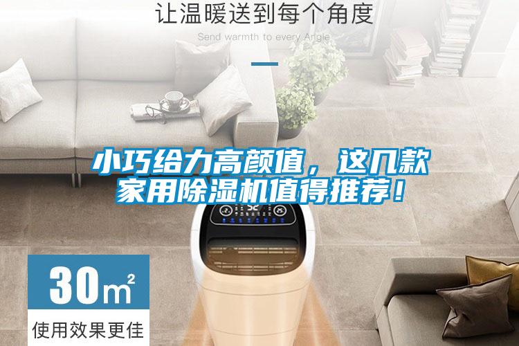 小巧給力高顏值，這幾款家用除濕機(jī)值得推薦！