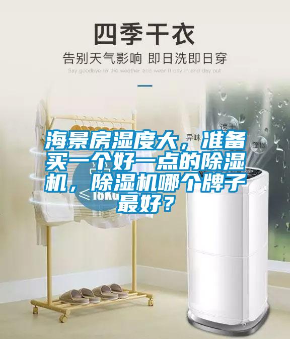 海景房濕度大，準(zhǔn)備買一個(gè)好一點(diǎn)的除濕機(jī)，除濕機(jī)哪個(gè)牌子最好？