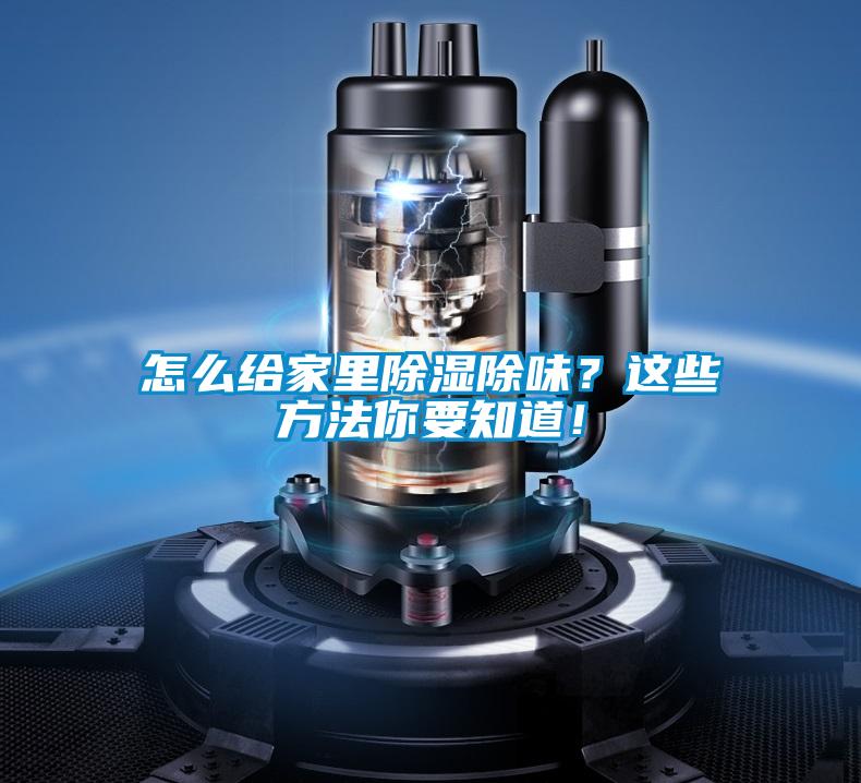 怎么給家里除濕除味？這些方法你要知道！