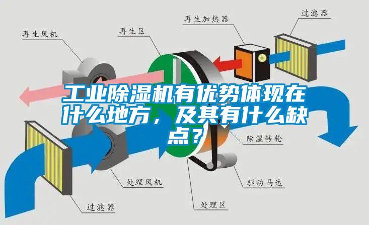 工業除濕機有優勢體現在什么地方，及其有什么缺點？