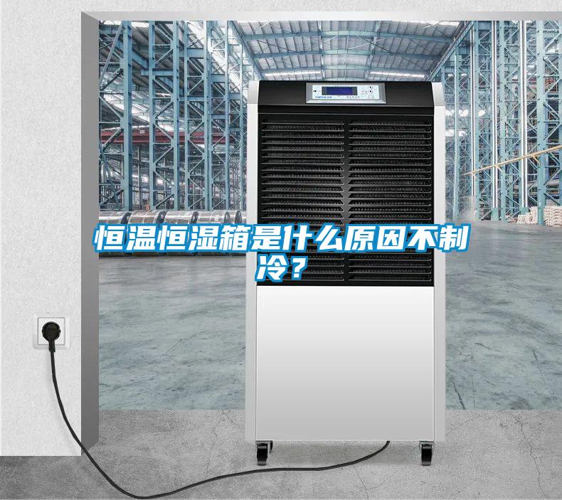 恒溫恒濕箱是什么原因不制冷？