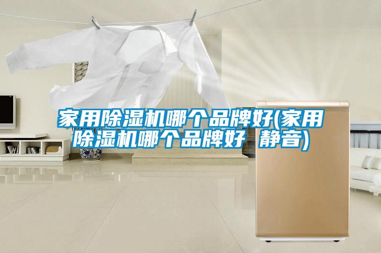 家用除濕機(jī)哪個品牌好(家用除濕機(jī)哪個品牌好 靜音)
