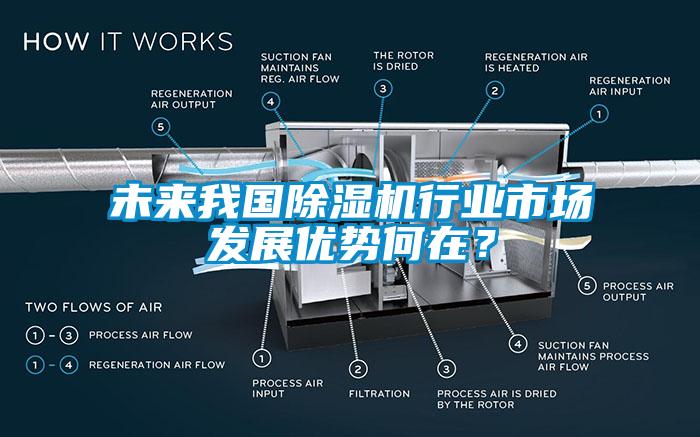 未來我國除濕機行業(yè)市場發(fā)展優(yōu)勢何在？
