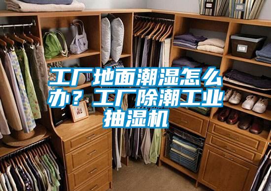 工廠地面潮濕怎么辦？工廠除潮工業(yè)抽濕機(jī)