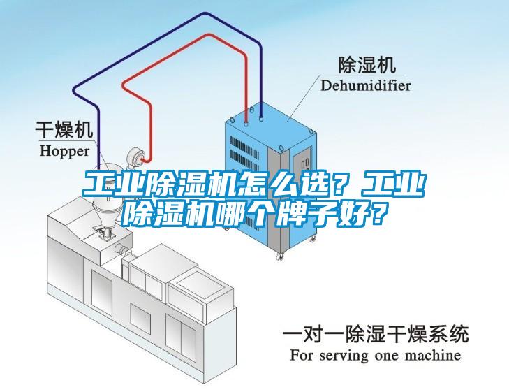 工業(yè)除濕機(jī)怎么選？工業(yè)除濕機(jī)哪個(gè)牌子好？
