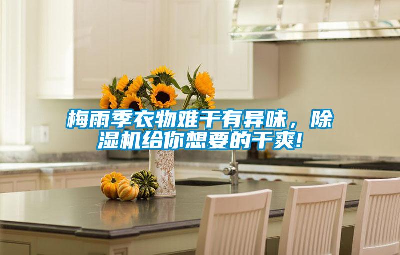 梅雨季衣物難干有異味，除濕機(jī)給你想要的干爽!
