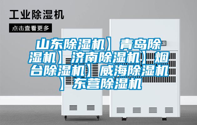 山東除濕機(jī)】青島除濕機(jī)】濟(jì)南除濕機(jī)】煙臺(tái)除濕機(jī)】威海除濕機(jī)】東營除濕機(jī)
