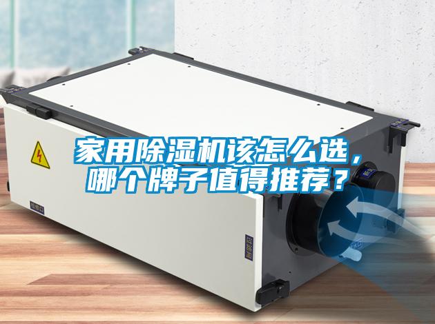 家用除濕機該怎么選，哪個牌子值得推薦？