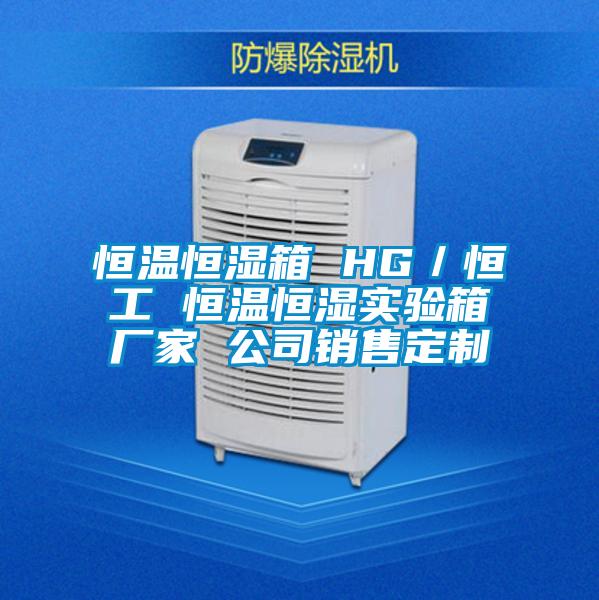恒溫恒濕箱 HG／恒工 恒溫恒濕實(shí)驗(yàn)箱廠家 公司銷(xiāo)售定制