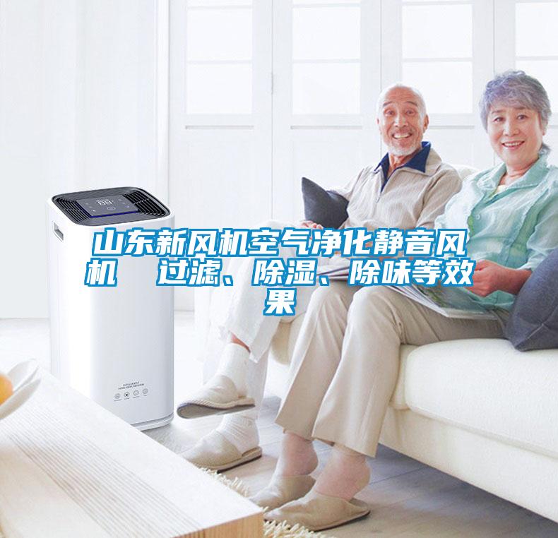 山東新風機空氣凈化靜音風機  過濾、除濕、除味等效果