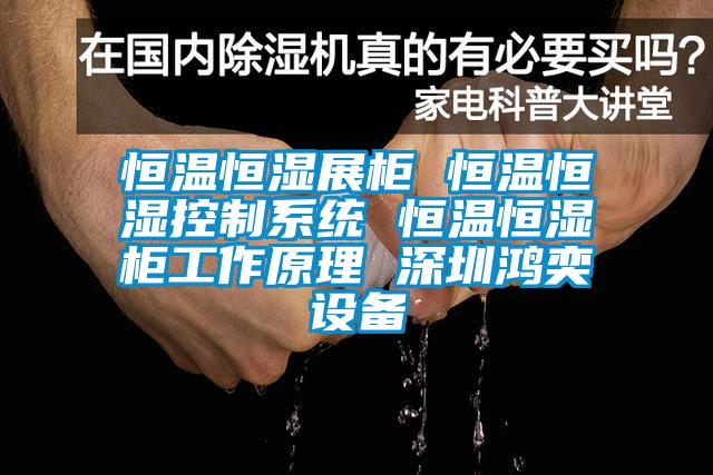 恒溫恒濕展柜 恒溫恒濕控制系統(tǒng) 恒溫恒濕柜工作原理 深圳鴻奕設備