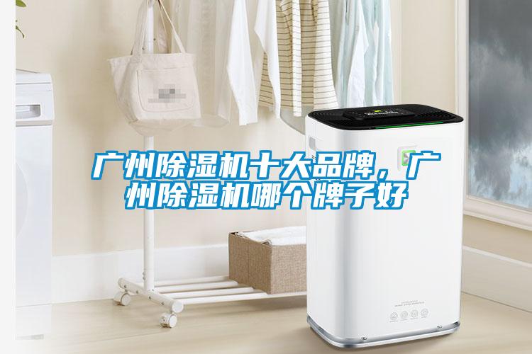 廣州除濕機(jī)十大品牌，廣州除濕機(jī)哪個牌子好
