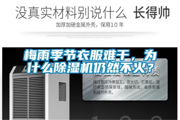 梅雨季節(jié)衣服難干，為什么除濕機(jī)仍然不火？