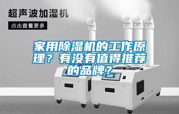 家用除濕機的工作原理？有沒有值得推薦的品牌？