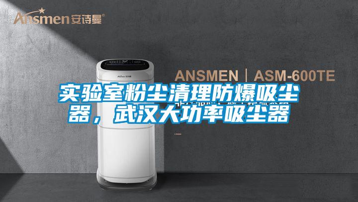 實驗室粉塵清理防爆吸塵器，武漢大功率吸塵器