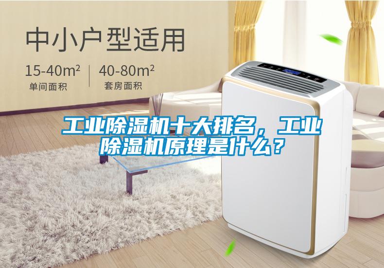 工業(yè)除濕機十大排名，工業(yè)除濕機原理是什么？