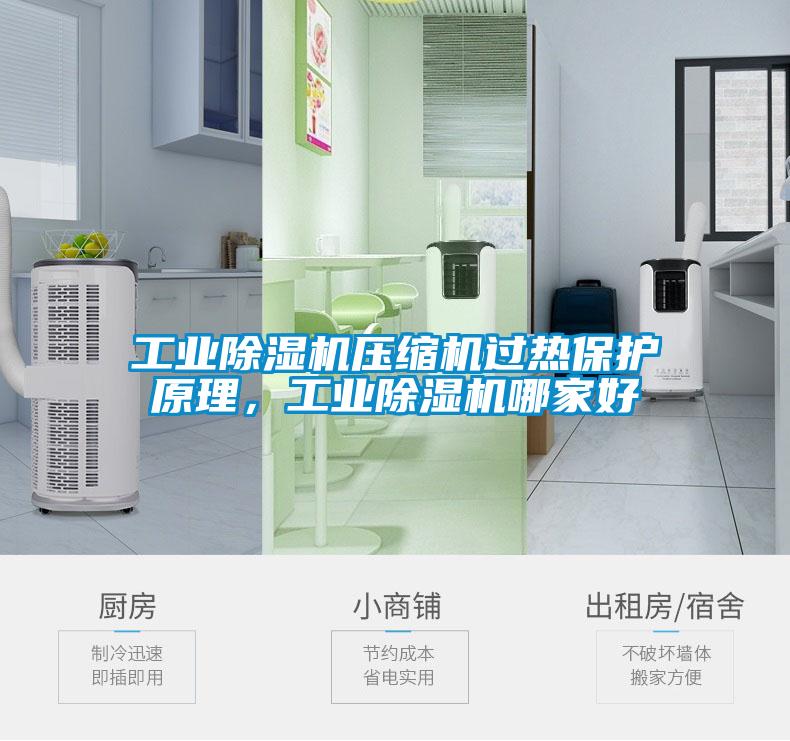 工業(yè)除濕機(jī)壓縮機(jī)過熱保護(hù)原理，工業(yè)除濕機(jī)哪家好