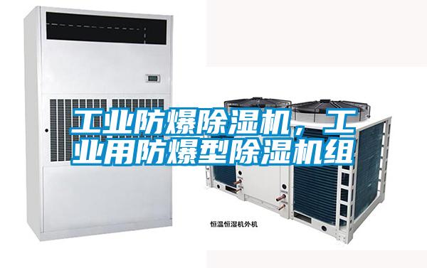 工業(yè)防爆除濕機(jī)，工業(yè)用防爆型除濕機(jī)組