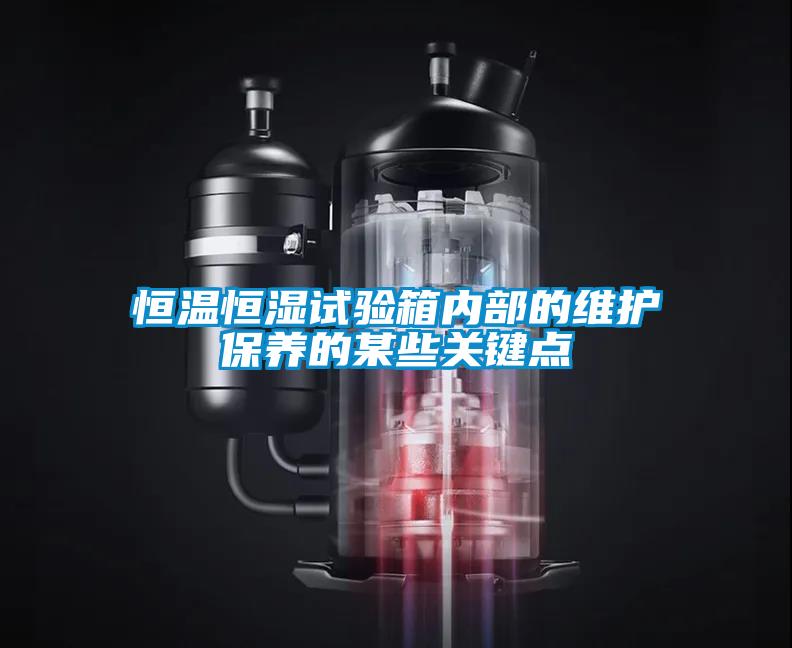 恒溫恒濕試驗箱內(nèi)部的維護(hù)保養(yǎng)的某些關(guān)鍵點