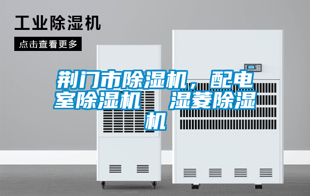 荊門市除濕機(jī)，配電室除濕機(jī)  濕菱除濕機(jī)
