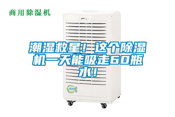 潮濕救星！這個除濕機一天能吸走60瓶水！