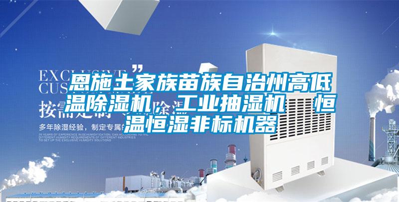 恩施土家族苗族自治州高低溫除濕機(jī)，工業(yè)抽濕機(jī)  恒溫恒濕非標(biāo)機(jī)器