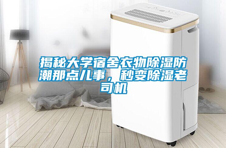 揭秘大學(xué)宿舍衣物除濕防潮那點兒事，秒變除濕老司機
