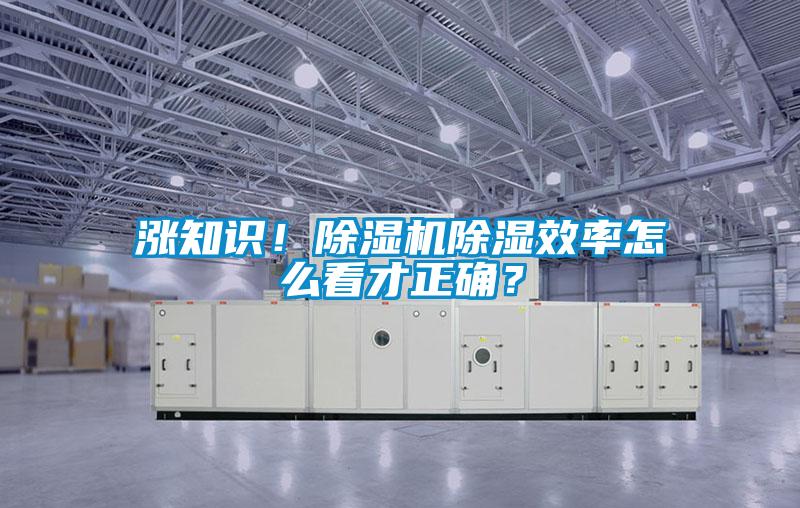 漲知識！除濕機除濕效率怎么看才正確？