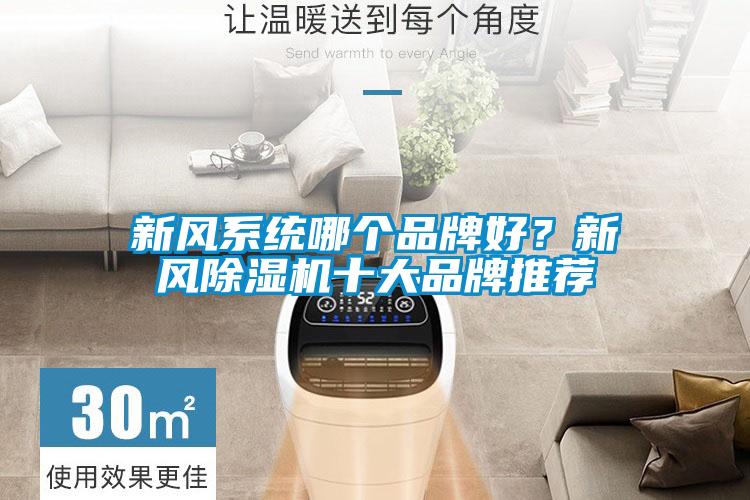 新風(fēng)系統(tǒng)哪個(gè)品牌好？新風(fēng)除濕機(jī)十大品牌推薦