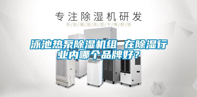 泳池?zé)岜贸凉駲C(jī)組 在除濕行業(yè)內(nèi)哪個(gè)品牌好？