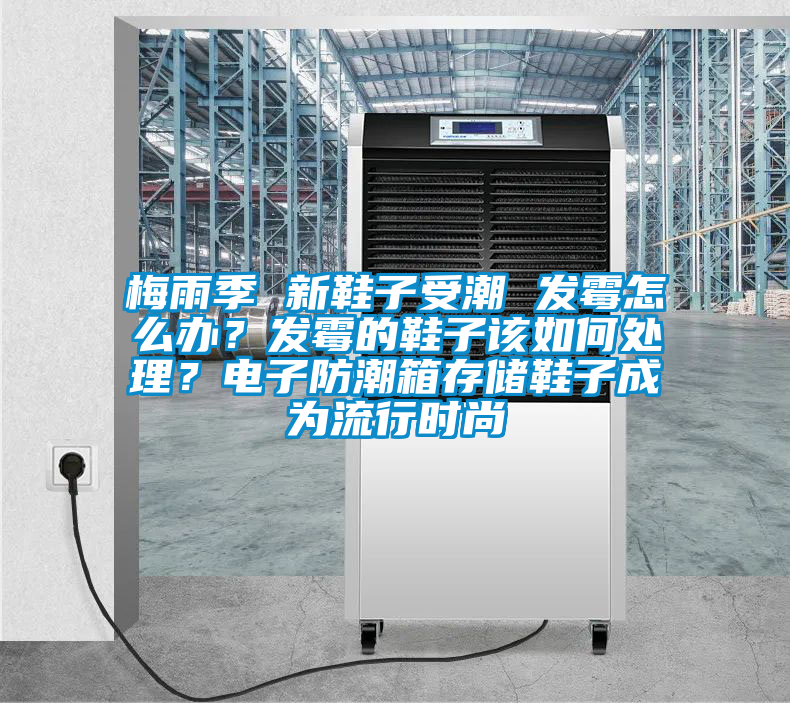 梅雨季 新鞋子受潮 發(fā)霉怎么辦？發(fā)霉的鞋子該如何處理？電子防潮箱存儲鞋子成為流行時尚