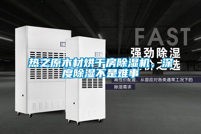 熱之原木材烘干房除濕機(jī)，深度除濕不是難事