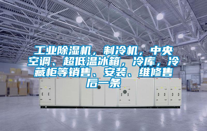 工業(yè)除濕機(jī)，制冷機(jī)，中央空調(diào)、超低溫冰箱，冷庫(kù)，冷藏柜等銷(xiāo)售、安裝、維修售后一條