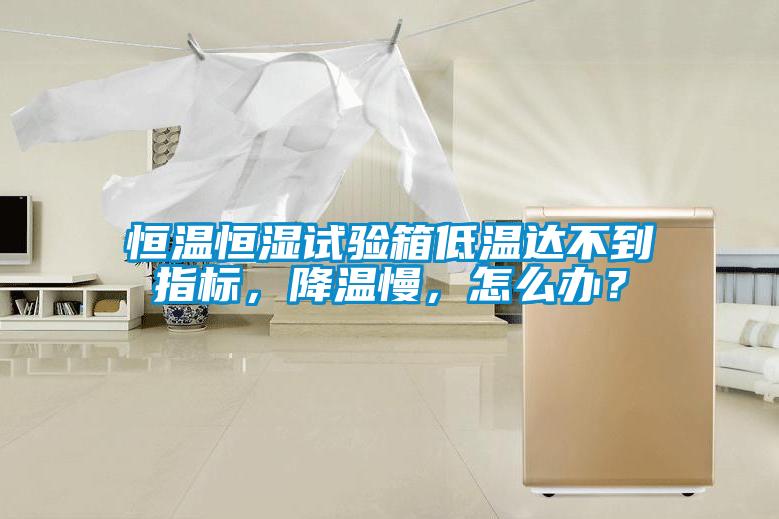 恒溫恒濕試驗(yàn)箱低溫達(dá)不到指標(biāo)，降溫慢，怎么辦？