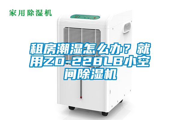 租房潮濕怎么辦？就用ZD-228LB小空間除濕機(jī)