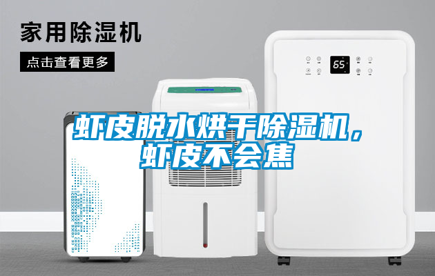 蝦皮脫水烘干除濕機，蝦皮不會焦