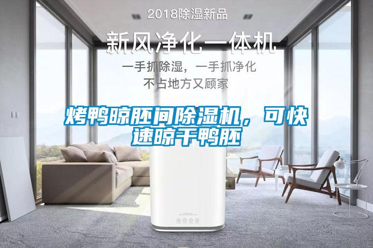 烤鴨晾胚間除濕機(jī)，可快速晾干鴨胚