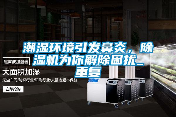潮濕環(huán)境引發(fā)鼻炎，除濕機為你解除困擾_重復
