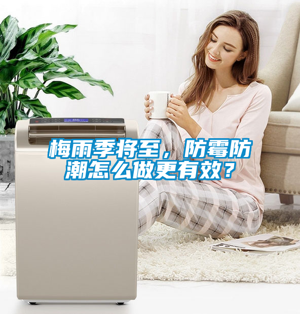 梅雨季將至，防霉防潮怎么做更有效？