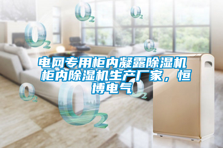 電網(wǎng)專用柜內(nèi)凝露除濕機(jī) 柜內(nèi)除濕機(jī)生產(chǎn)廠家，恒博電氣