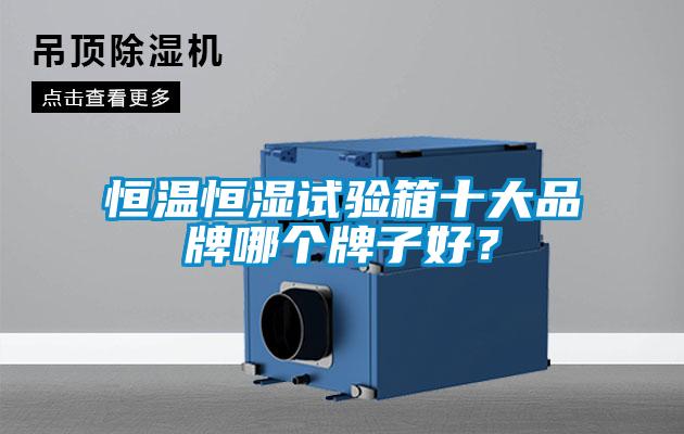 恒溫恒濕試驗箱十大品牌哪個牌子好？