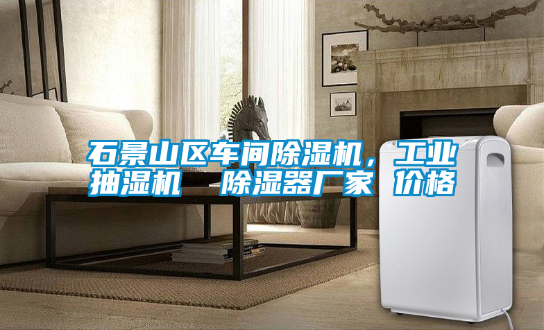 石景山區(qū)車間除濕機(jī)，工業(yè)抽濕機(jī)  除濕器廠家 價(jià)格
