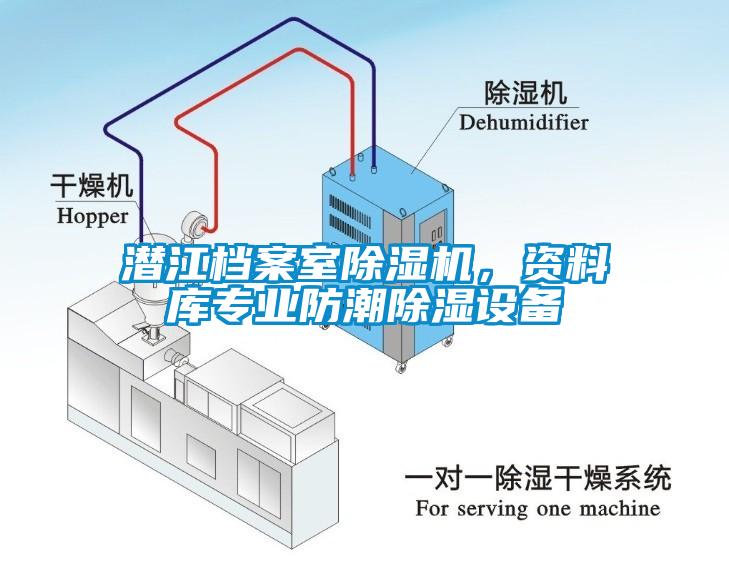 潛江檔案室除濕機，資料庫專業(yè)防潮除濕設備