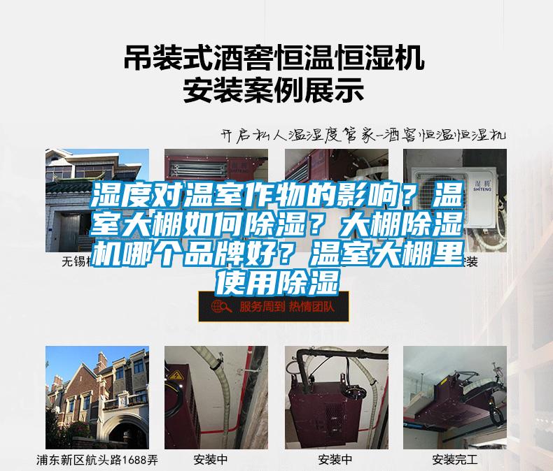 濕度對溫室作物的影響？溫室大棚如何除濕？大棚除濕機(jī)哪個品牌好？溫室大棚里使用除濕
